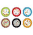 Petri dishes vector image