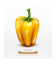 Isolate yellow pepper isolated on white background vector image