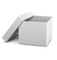 White empty opened cardboard box vector image