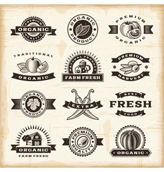 Vintage organic harvest stamps set vector image