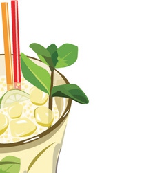 Mojito Mojito vector image