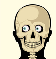 Skull vector image