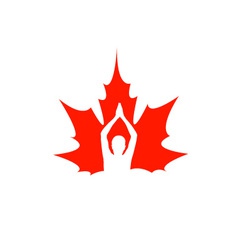 Red maple leaf logo vector image