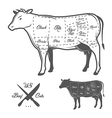 American cuts of beef vector image
