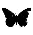 Grunge butterfly vector image