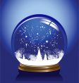 Snow globe vector image