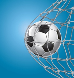 Soccer Goal vector image