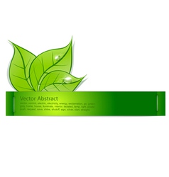 Paper strip with green leaves and drops of dew on vector image