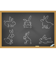 Rabbits sketch drew on blackboard vector image