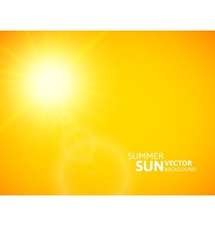 Summer background summer sun with lens flare vector image