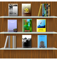 Bookshelf with books vector image
