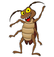 Cockroach cartoon vector image