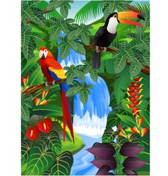 Tropical forest vector image