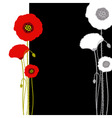 Poppy background vector image