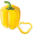 Mellow yellow peppers vector image
