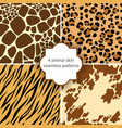 Skin seamless patterns vector image