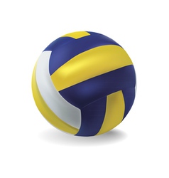 Volley ball vector image