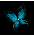 Butterfly vector image