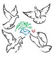 Set of pigeons Set of pigeons vector image