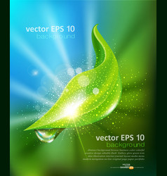 Green leaf and a drop of dew vector image
