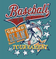 Baseball Grandslam vector image
