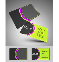 Business cards vector image
