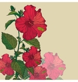 Decorative flower background vector image