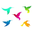Flying color hummingbirds vector image
