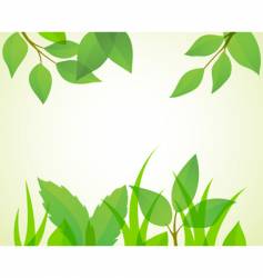 Summer background vector image