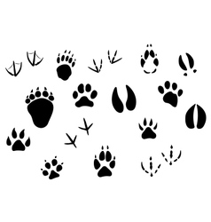 Animal footprints and tracks vector image