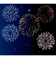 Fireworks vector image