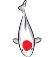 Carp koi with red spot vector image