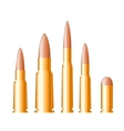 Set of gun bullets and ammunition vector image