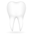 Tooth vector image