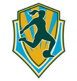 Woman girl playing soccer kicking vector image
