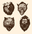 Set wild animals vector image