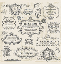Calligraphic Design Elements vintage set vector image