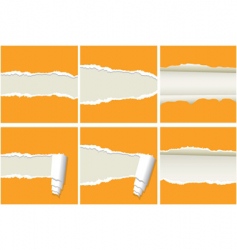 Ripped papers vector image
