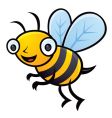 Bumblebee vector image