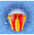 Birthday gift vector image