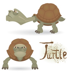 Cartoon turtle vector image
