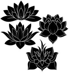Lotus set vector image