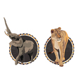 Africa Wildlife Culture vector image