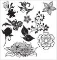 Floral elements vector image