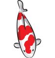 Carp koi vector image
