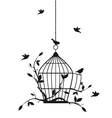 Birds with birdcage vector image