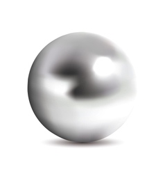 Photorealistic chrome ball vector image