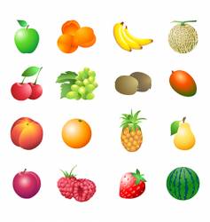 Calorie table fruits vector image