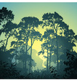 Forest landscape vector image