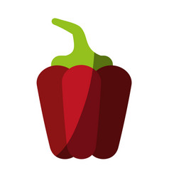 Healthy fresh vegetable Healthy fresh vegetable vector image